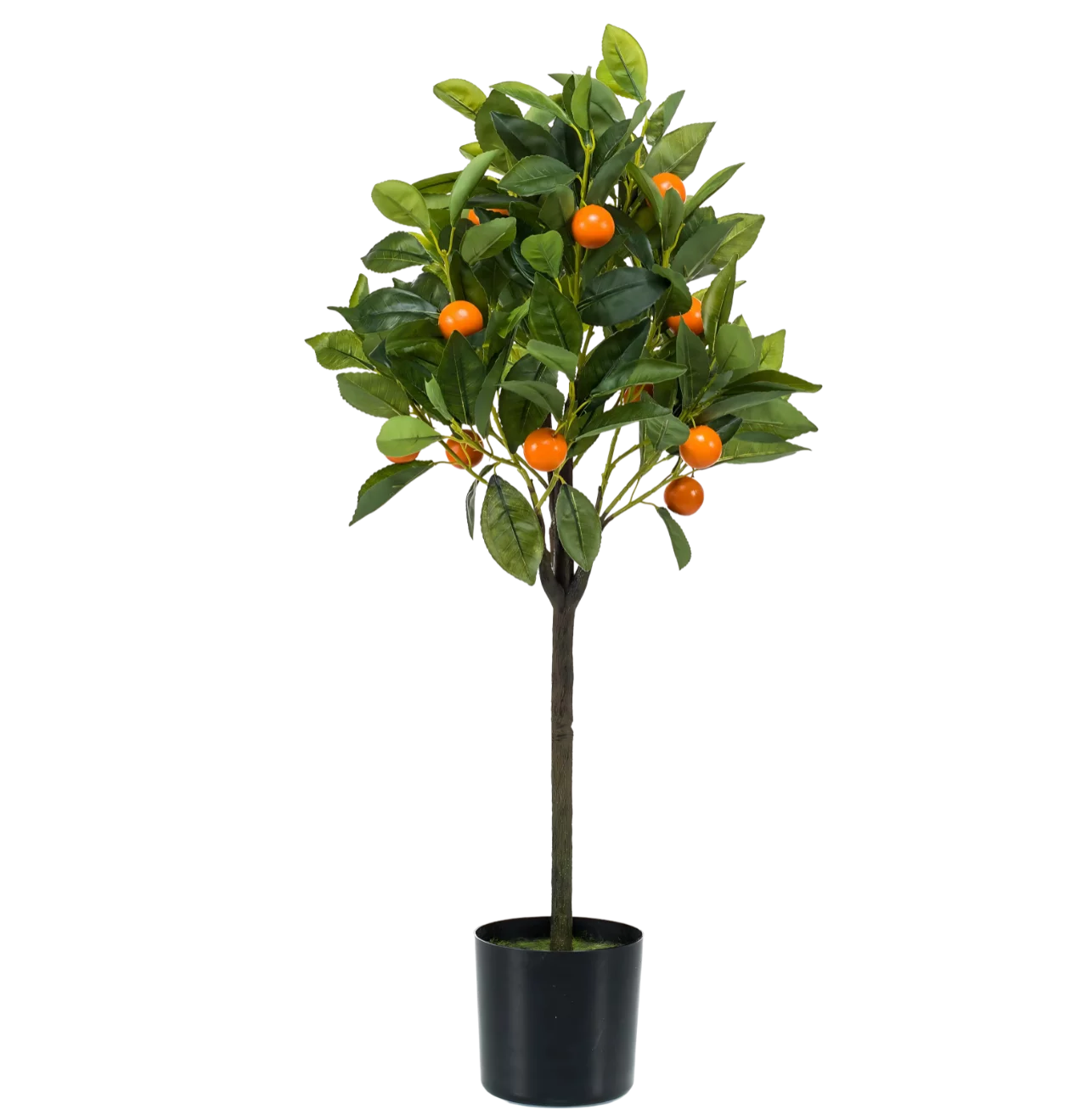 Künstliche Citrus Sinensis | Orangenbaum | +/- 75cm | ø 12cm Topf