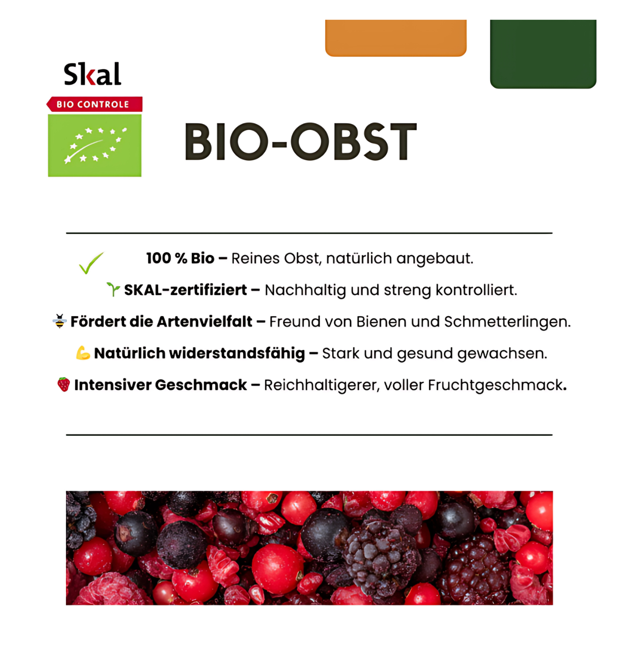 Bio Kiwipflanzen (3 Stück) | +/- 20 cm | ø 13 cm