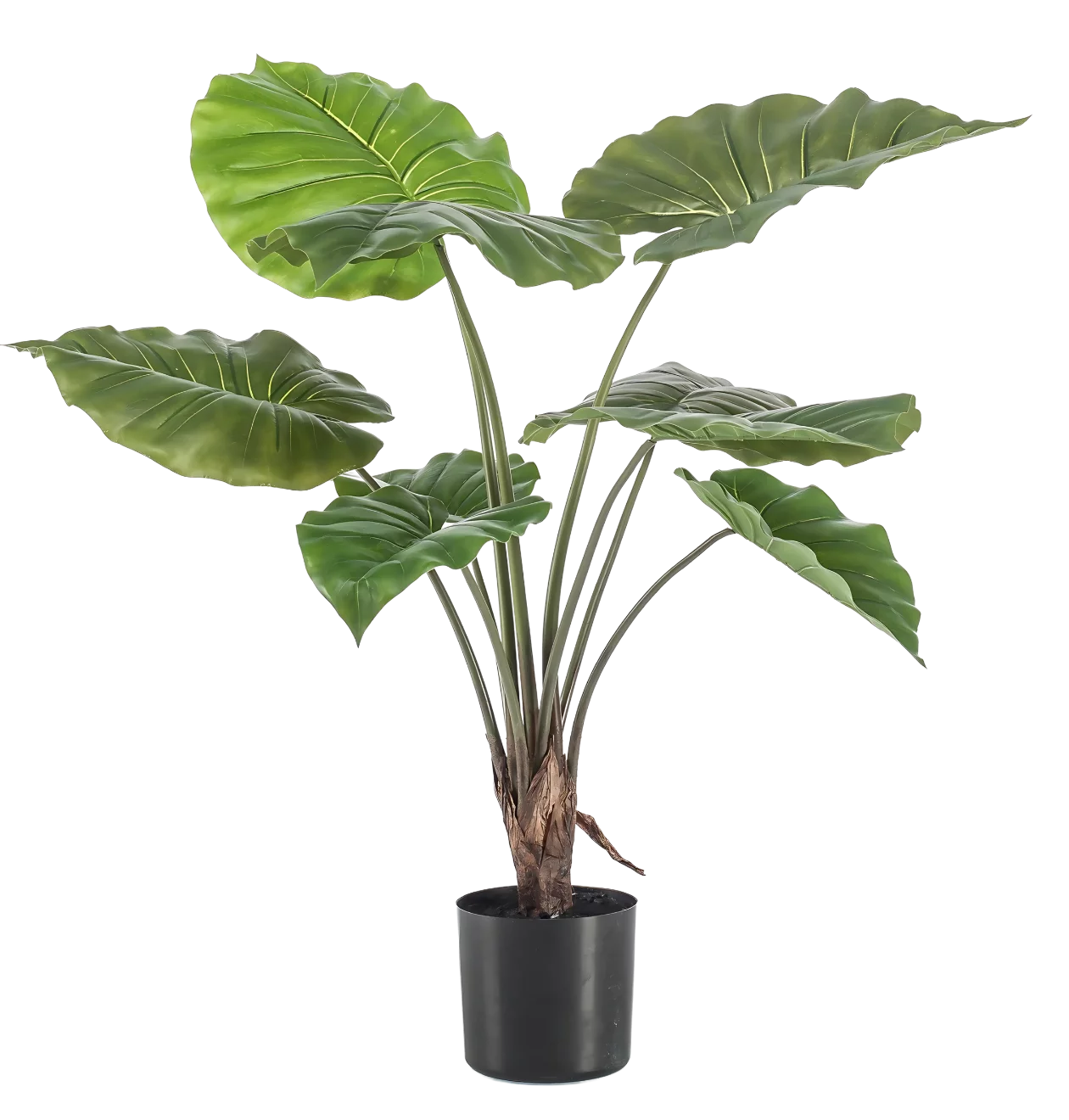 Künstliche Alocasia | Elefantenohr | +/- 70cm | ø 12cm Topf
