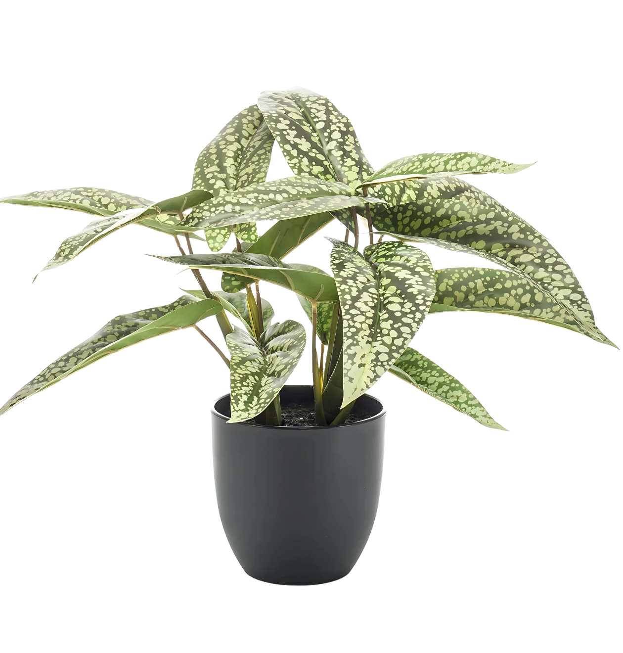 Künstliche Calathea “Dots” | Korbmarante | +/- 38cm | ø 15cm Topf