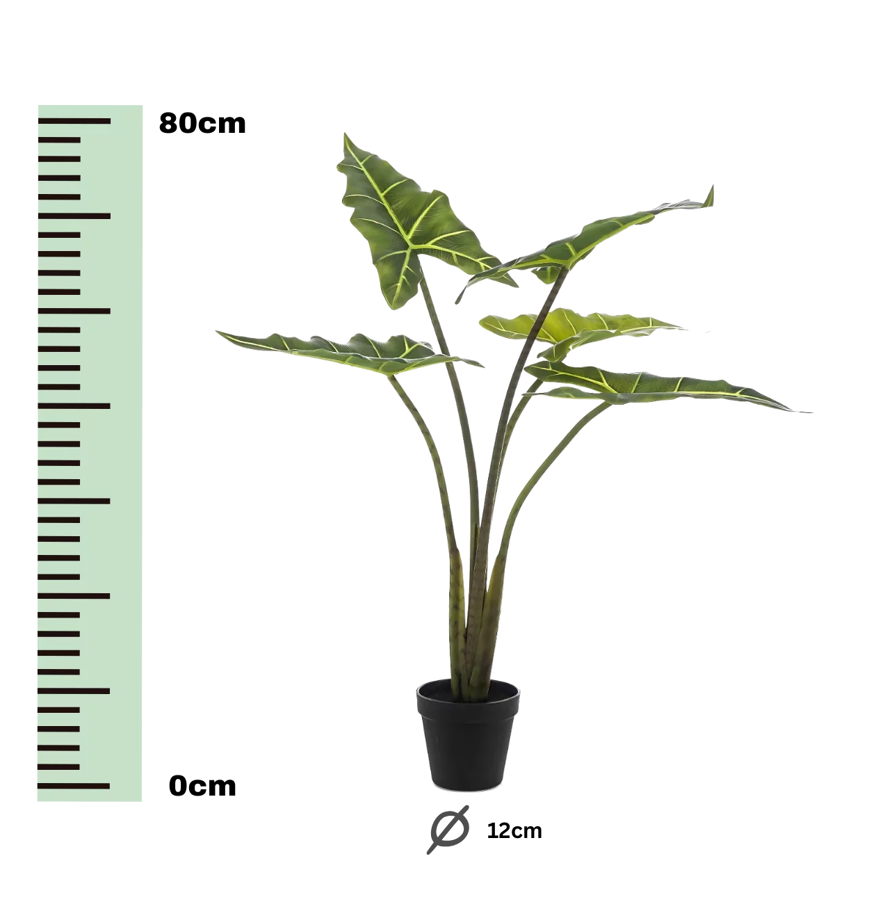 Künstliche Alocasia “Frydek” | Elefantenohr | +/- 80cm | ø 12cm Topf