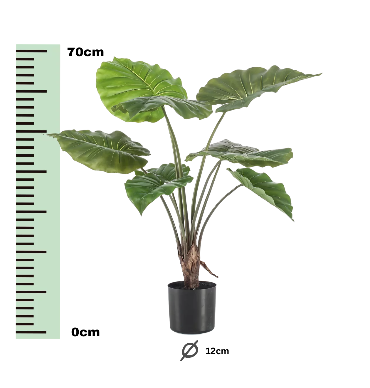 Künstliche Alocasia | Elefantenohr | +/- 70cm | ø 12cm Topf