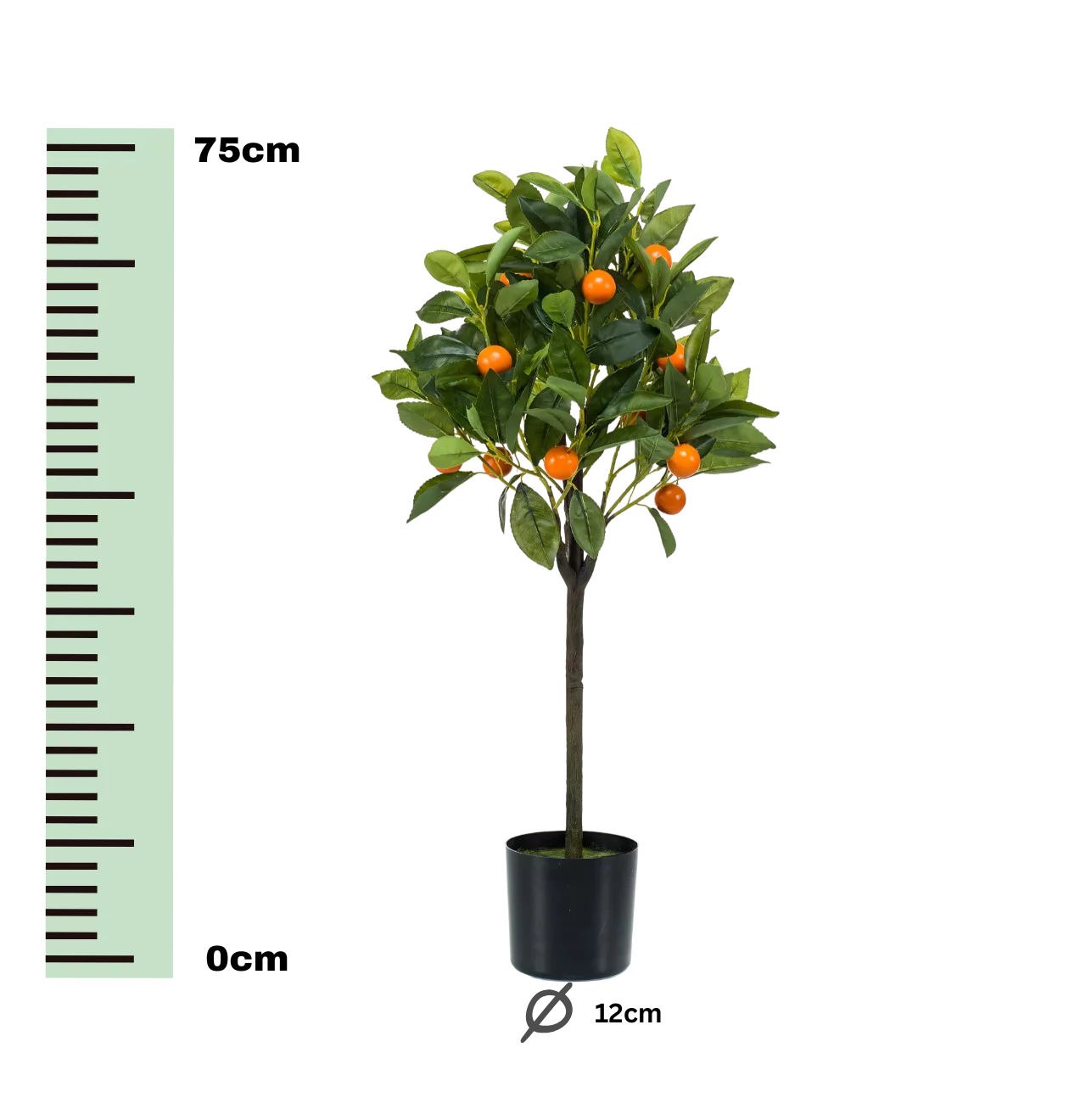 Künstliche Citrus Sinensis | Orangenbaum | +/- 75cm | ø 12cm Topf