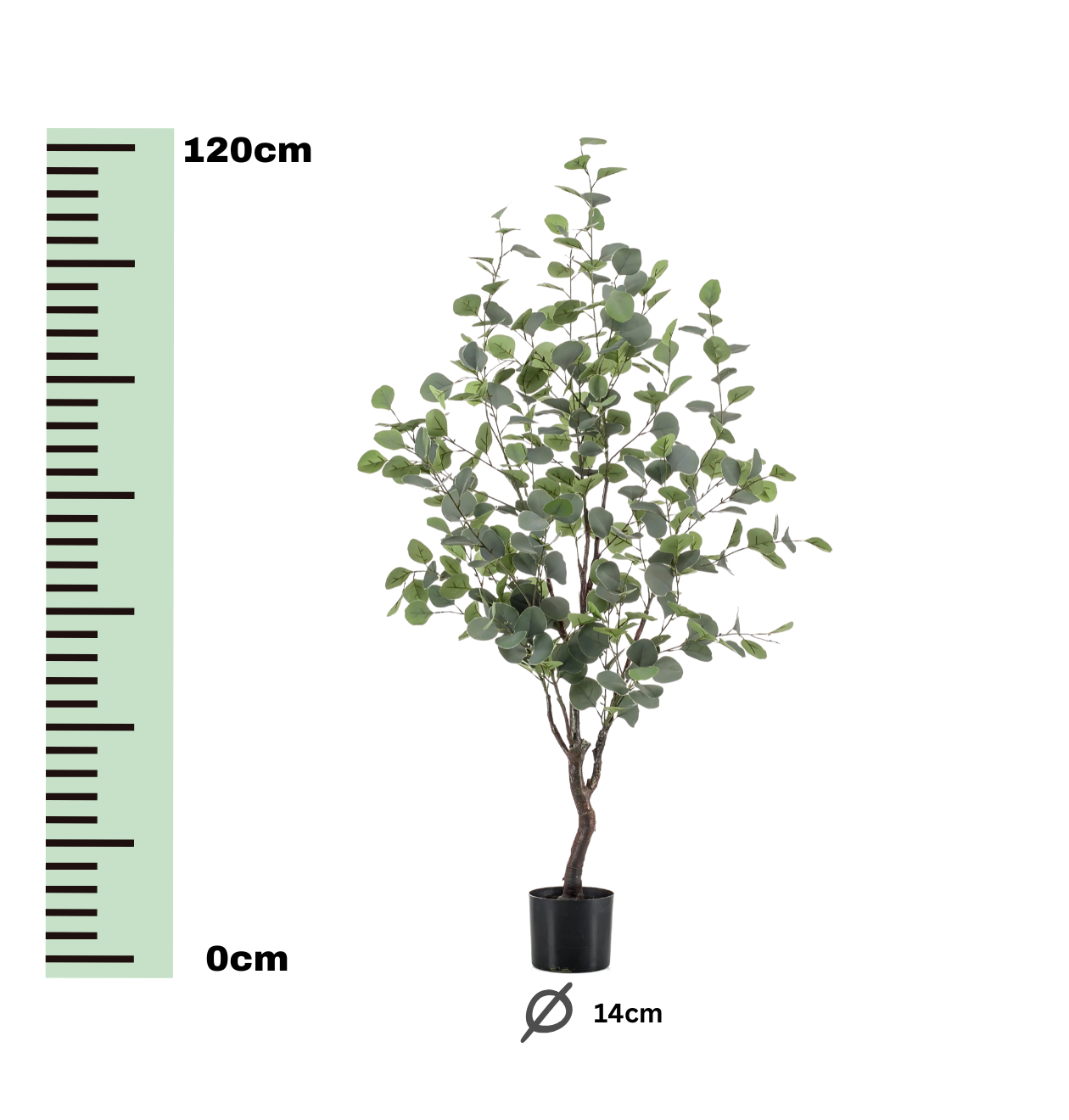 Künstlicher blauer Eukalyptus | Gummibaum | +/- 120cm | ø 14cm Topf