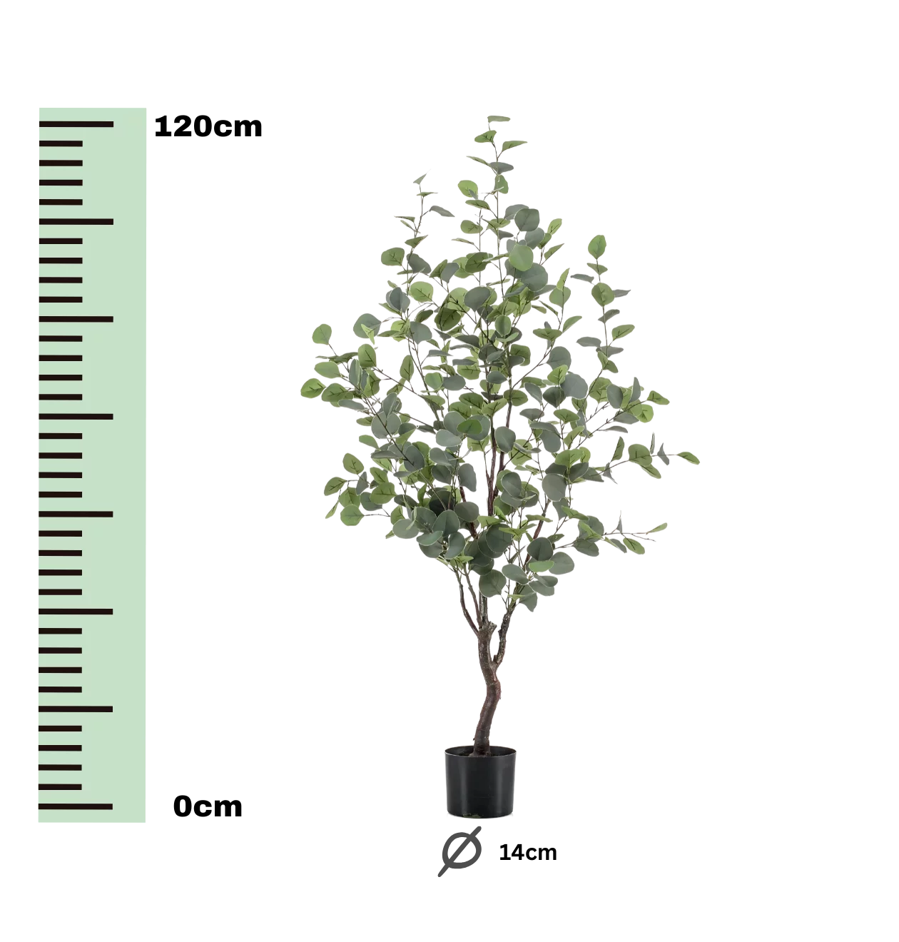 Künstlicher blauer Eukalyptus | Gummibaum | +/- 120cm | ø 14cm Topf