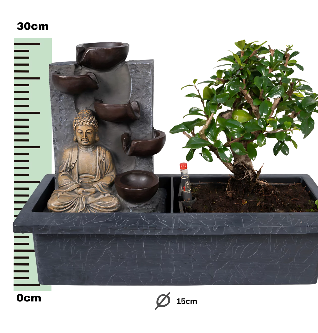 Bonsai-Baum “Meditation” | Bonsai mit Buddha & Wasserfall | +/- 30cm | ø 15cm Topf
