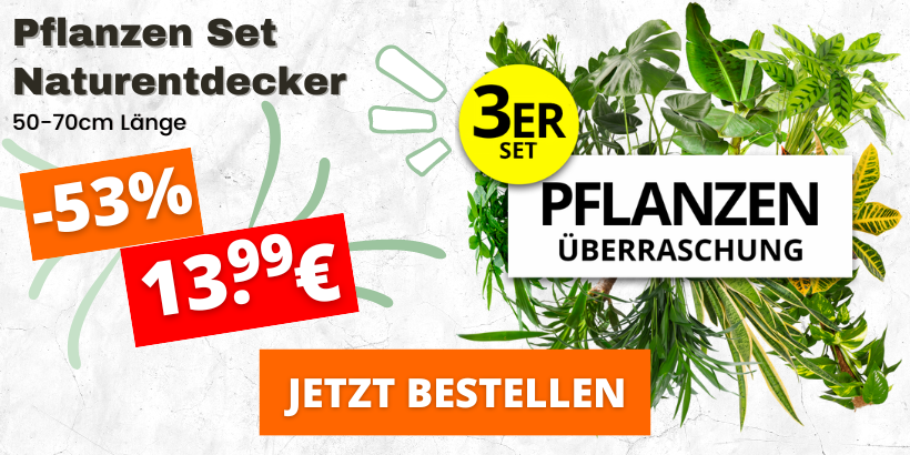Pflanzen kaufen im Online Pflanzen Shop PflanzePlus.de