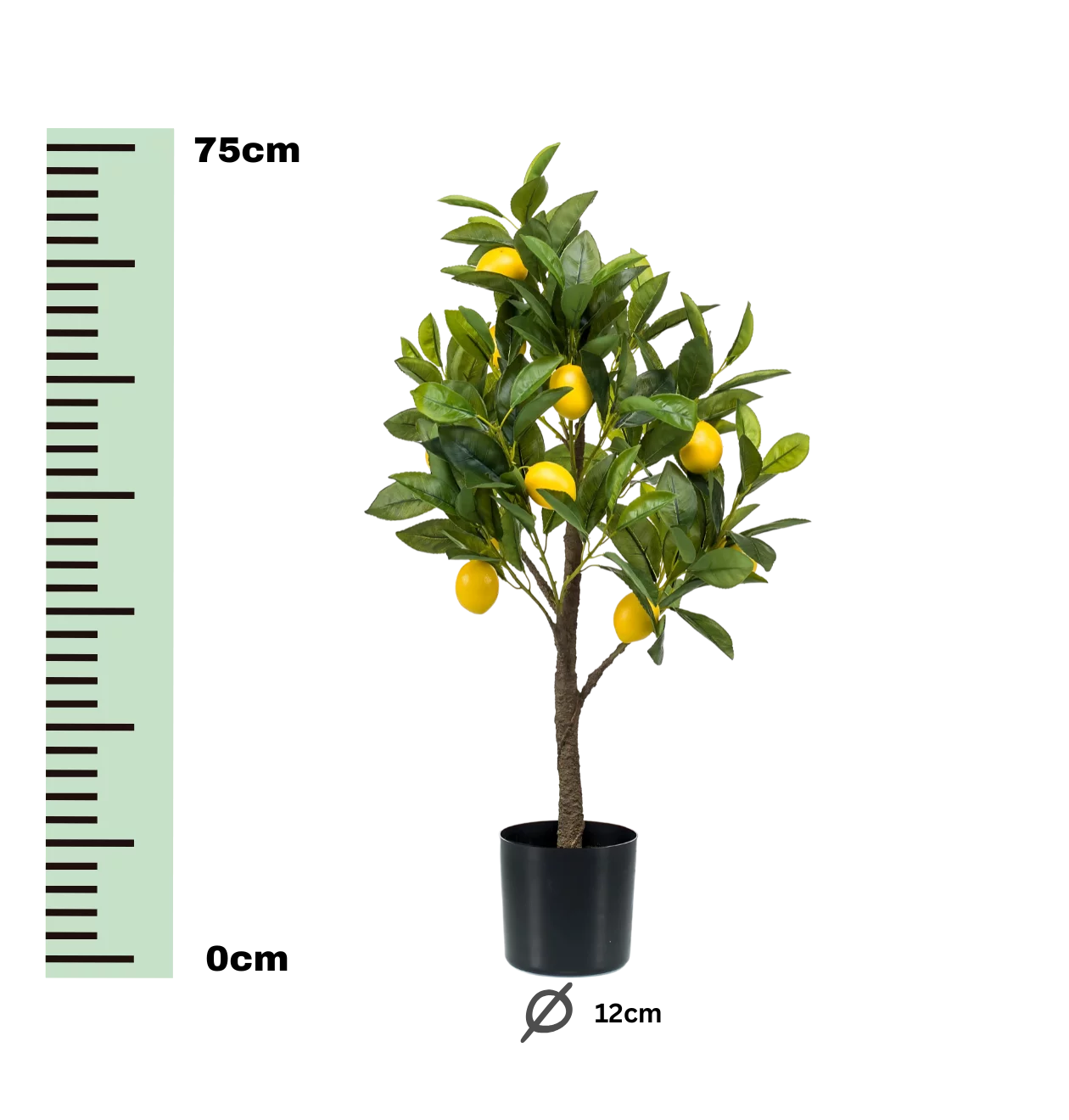 Künstliche Citrus Limonia | Zitrusbaum | +/- 75cm | ø 12cm Topf