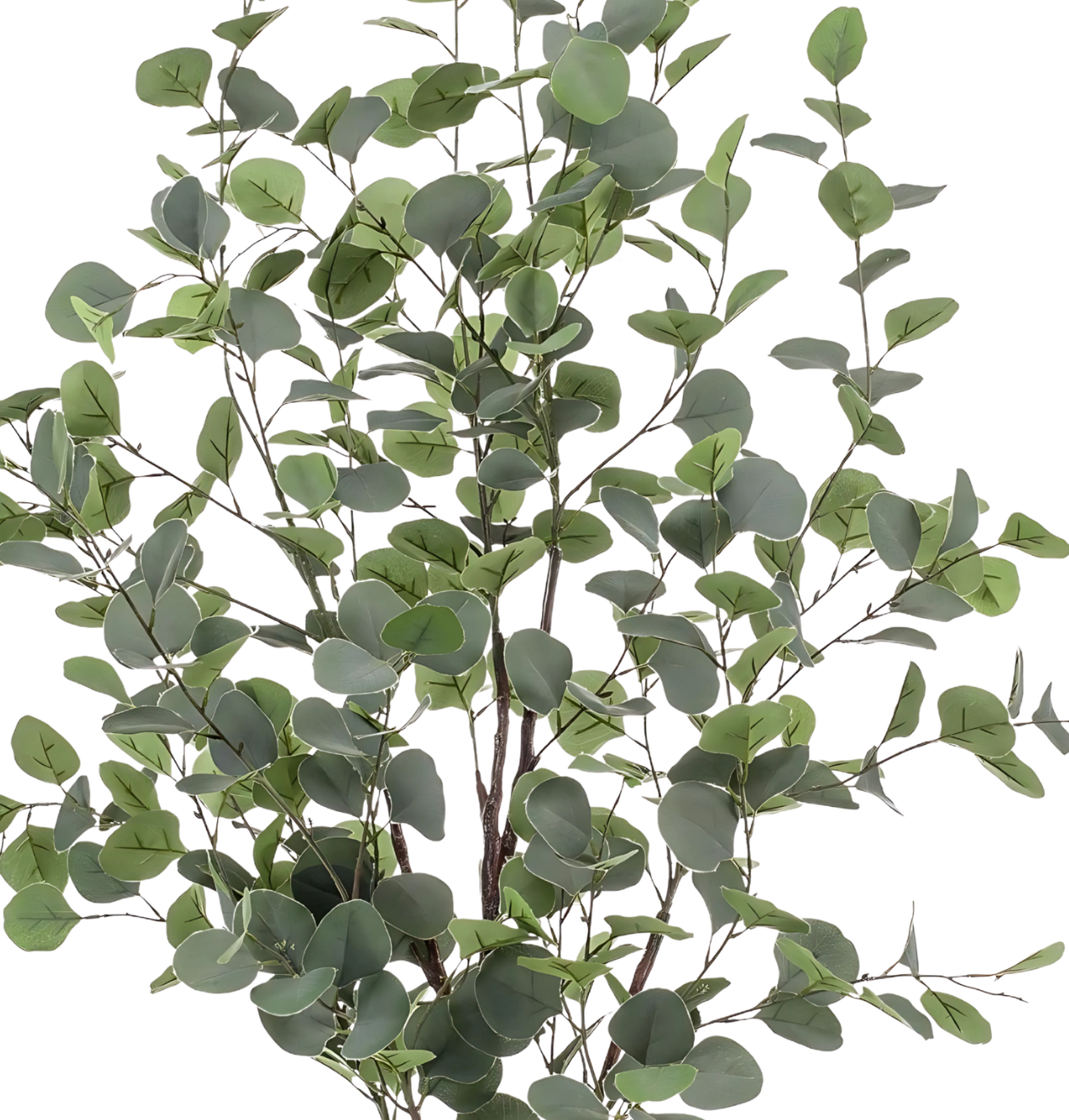 Künstlicher blauer Eukalyptus | Gummibaum | +/- 120cm | ø 14cm Topf