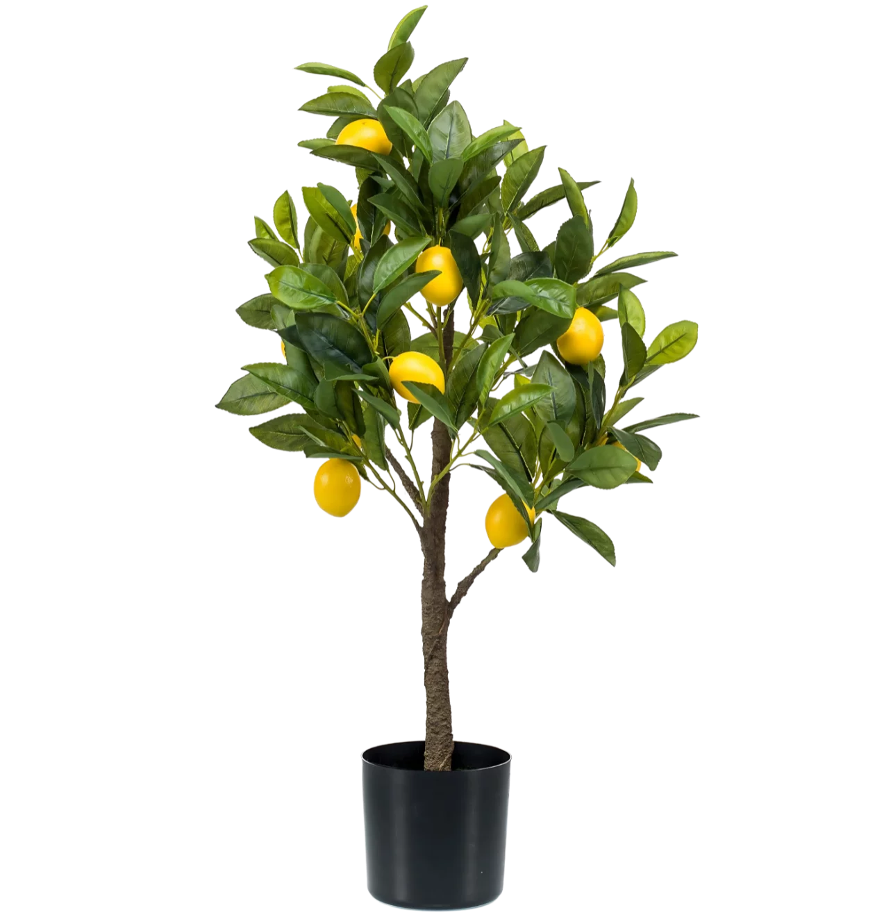 Künstliche Citrus Limonia | Zitrusbaum | +/- 75cm | ø 12cm Topf